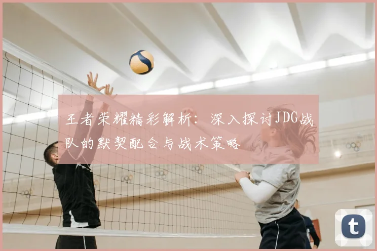 王者荣耀精彩解析:深入探讨JDG战队的默契配合与战术策略