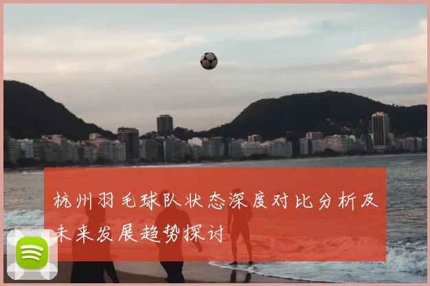 杭州羽毛球队状态深度对比分析及未来发展趋势探讨