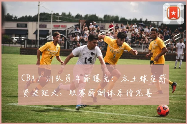 CBA广州队员年薪曝光:本土球星薪资差距大,联赛薪酬体系待完善