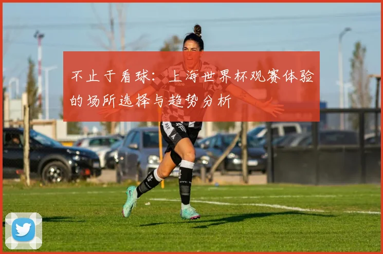 不止于看球:上海世界杯观赛体验的场所选择与趋势分析
