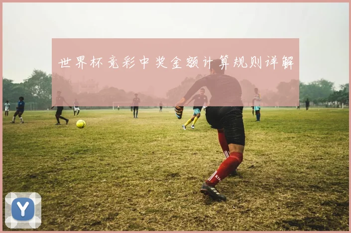 世界杯竞彩中奖金额计算规则详解
