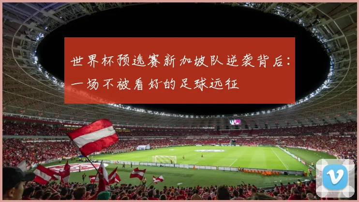 世界杯预选赛新加坡队逆袭背后:一场不被看好的足球远征