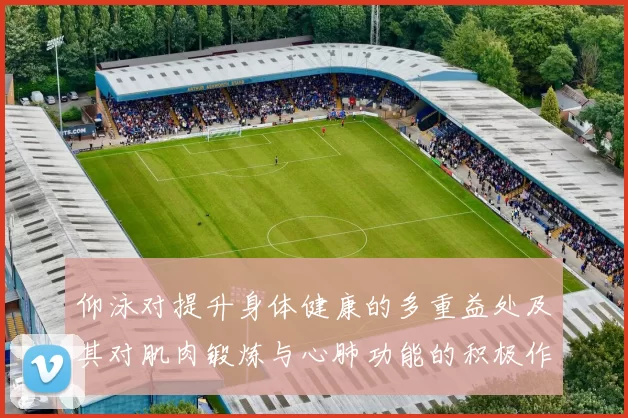 仰泳对提升身体健康的多重益处及其对肌肉锻炼与心肺功能的积极作用