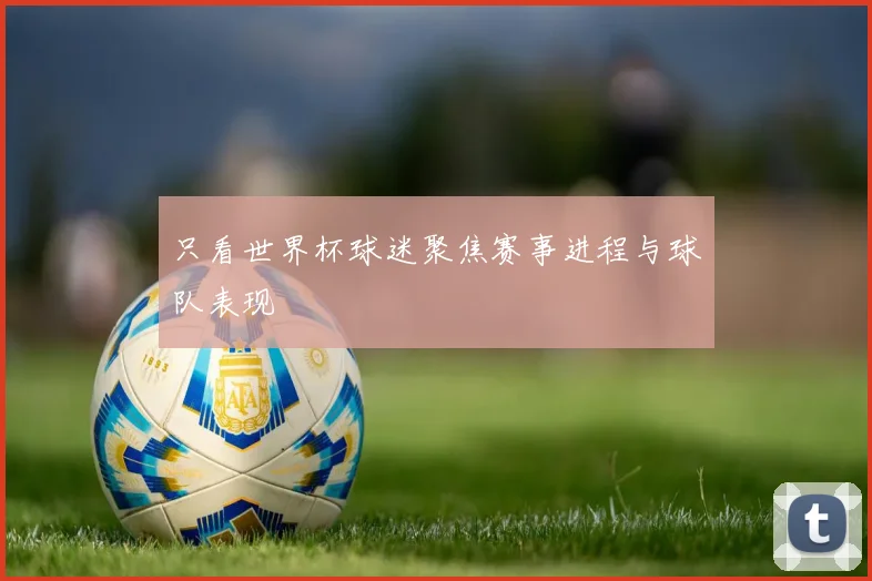 只看世界杯球迷聚焦赛事进程与球队表现