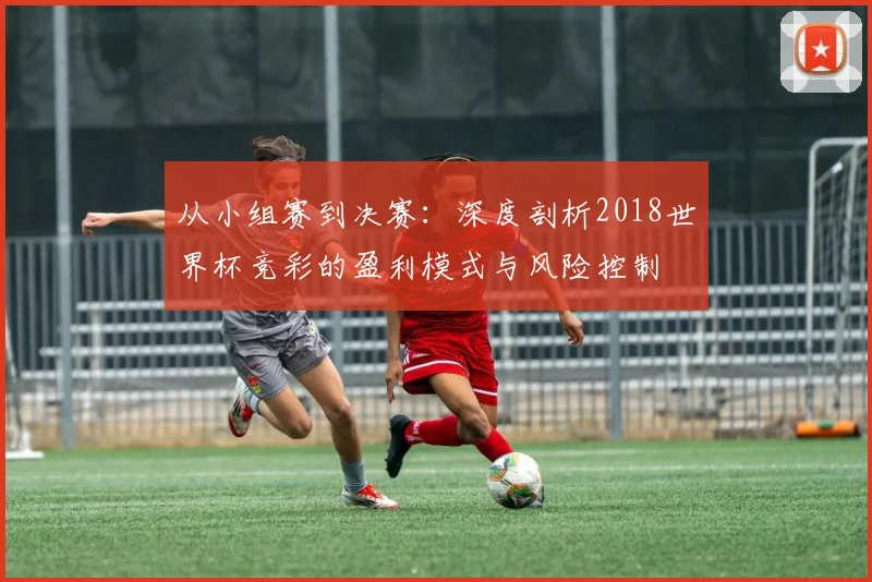 从小组赛到决赛:深度剖析2018世界杯竞彩的盈利模式与风险控制