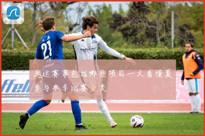 奥运赛事包括哪些项目一文看懂夏季与冬季比赛分类