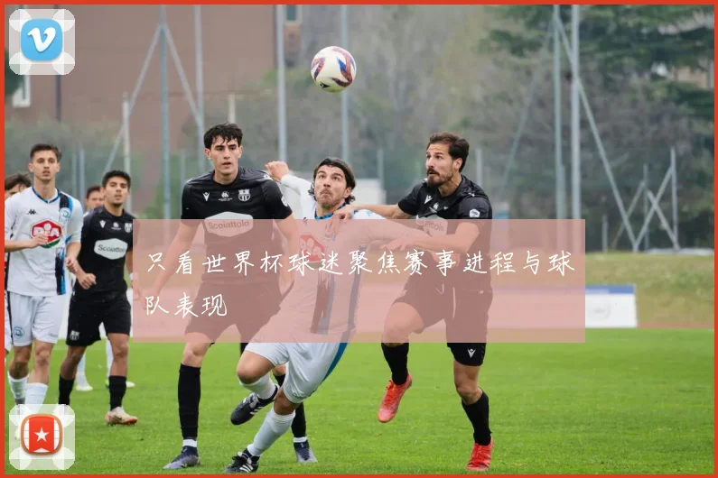 只看世界杯球迷聚焦赛事进程与球队表现