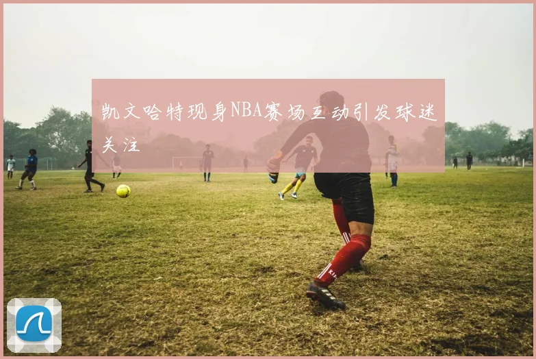 凯文哈特现身NBA赛场互动引发球迷关注