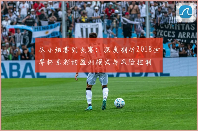 从小组赛到决赛：深度剖析2018世界杯竞彩的盈利模式与风险控制